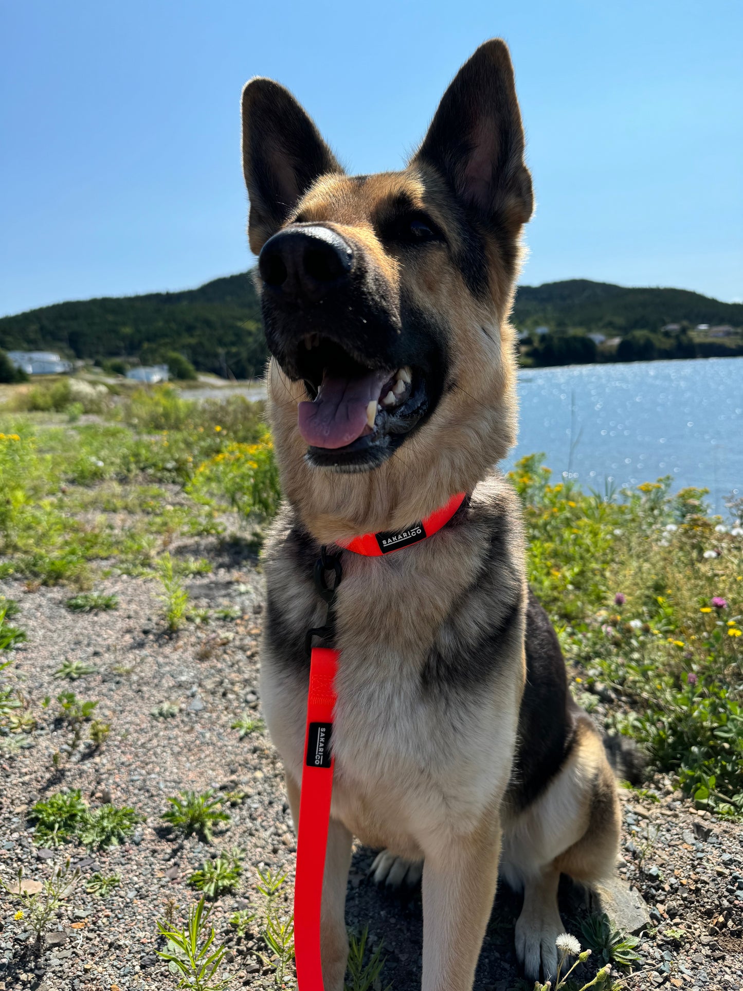 Splash Collar - Orange