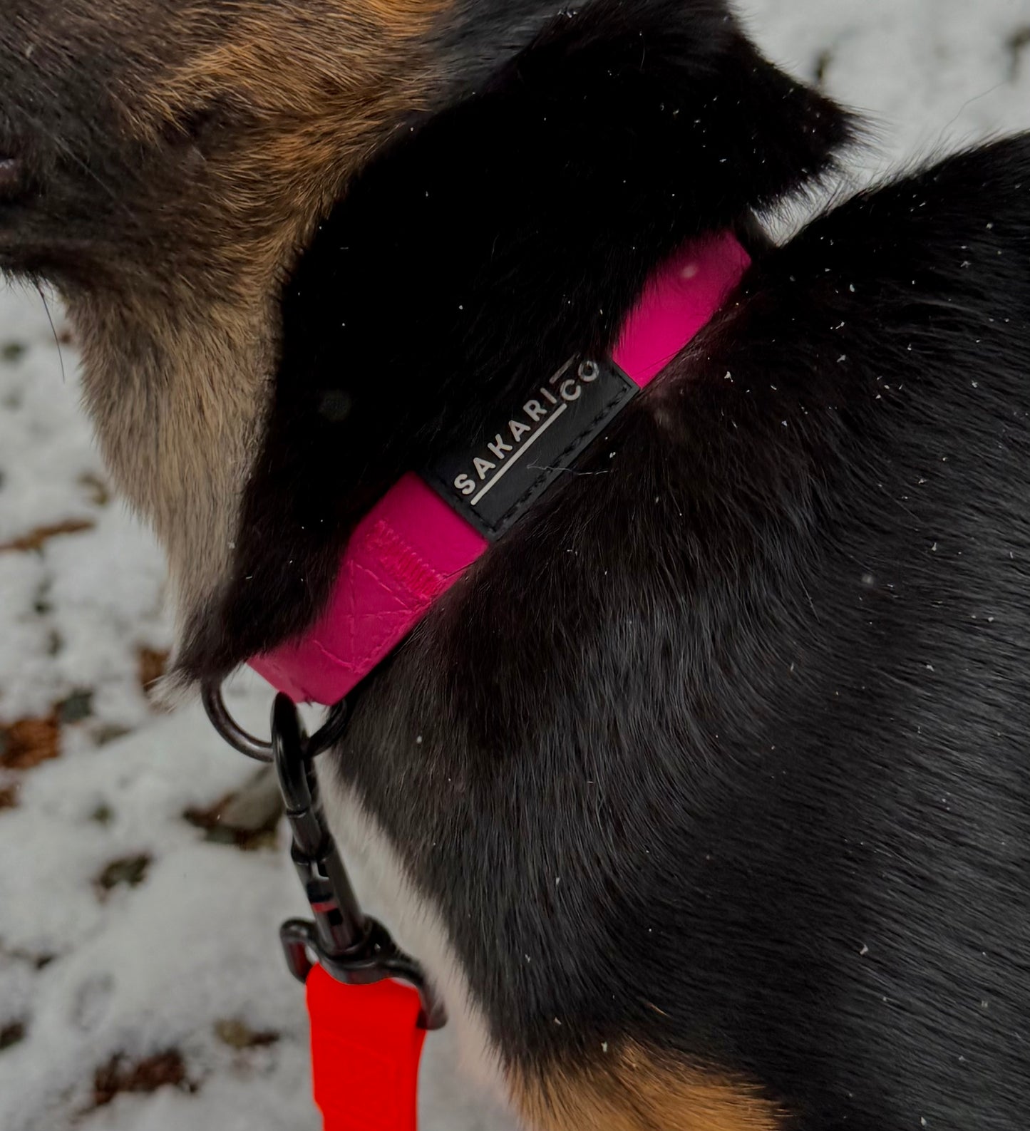 Splash Collar - Pink