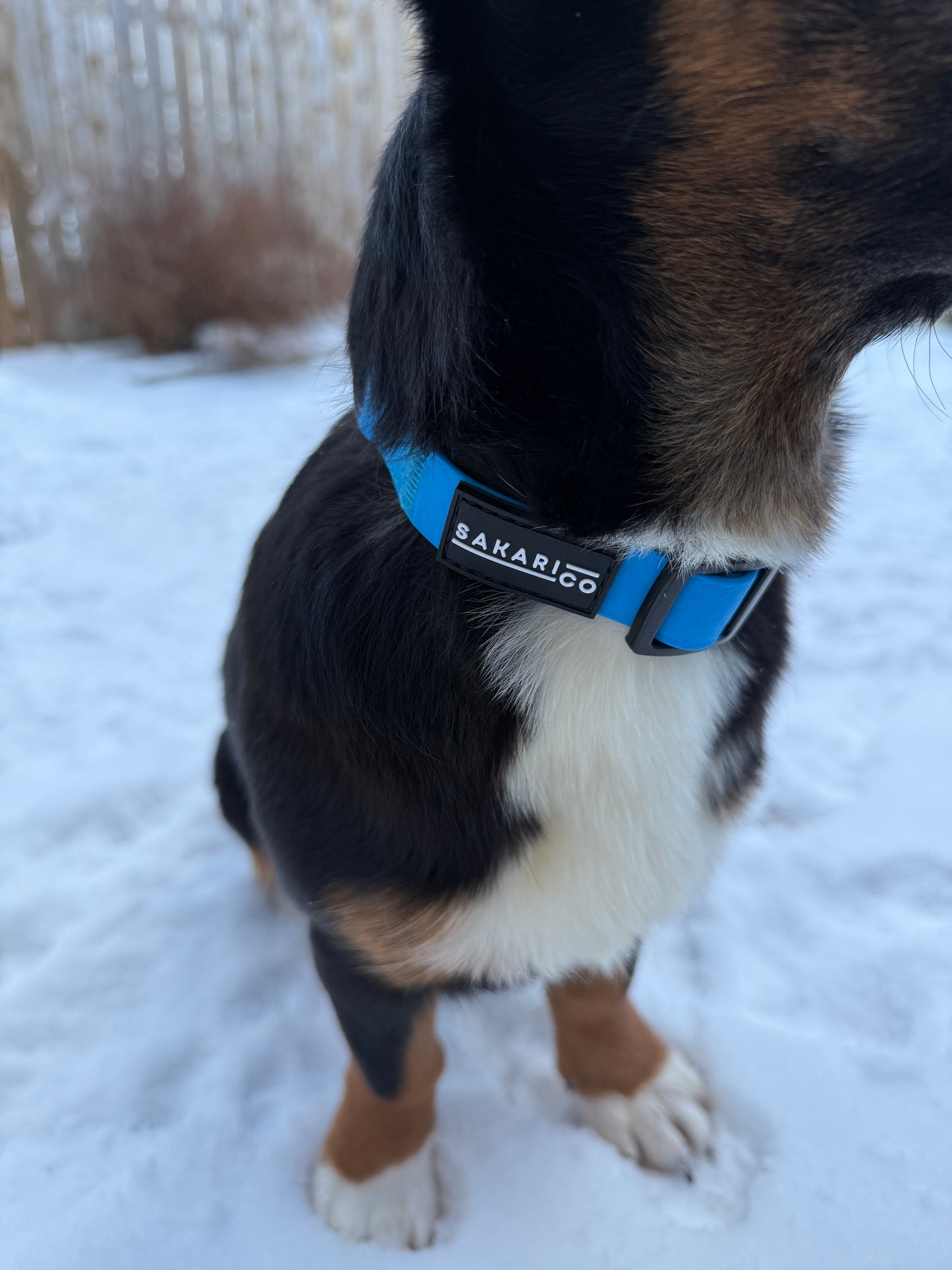 Splash Collar - Blue