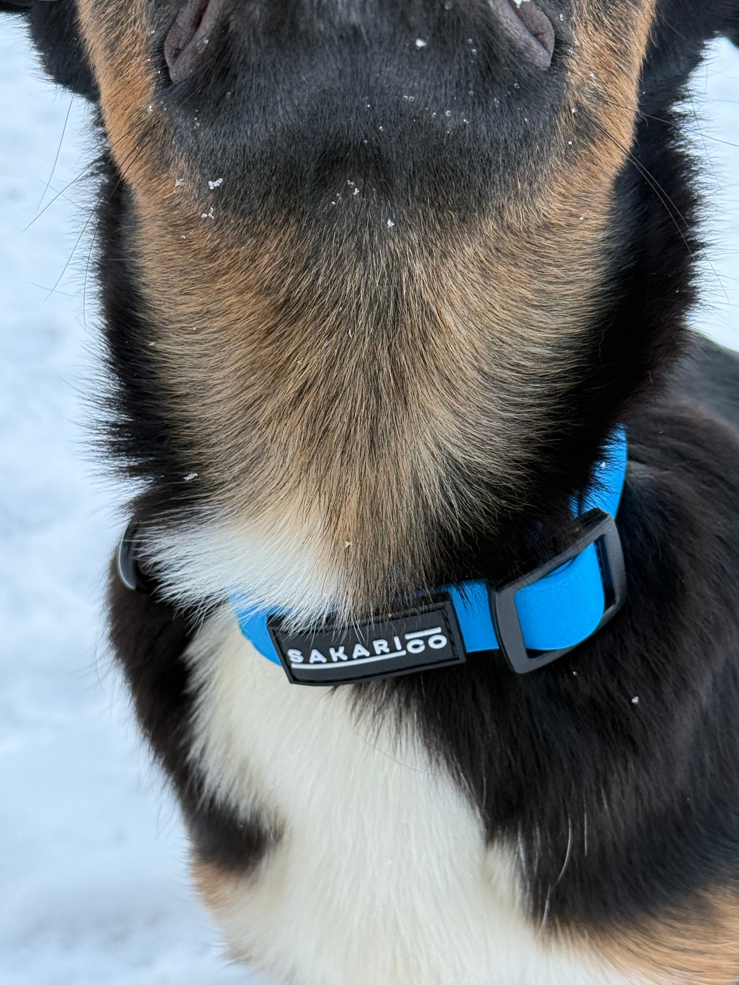 Splash Collar - Blue