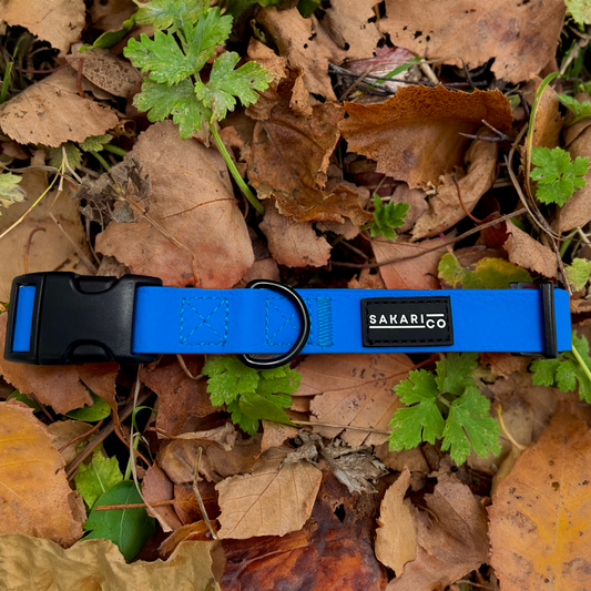 Splash Collar - Blue