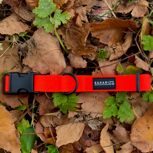 Splash Collar - Orange