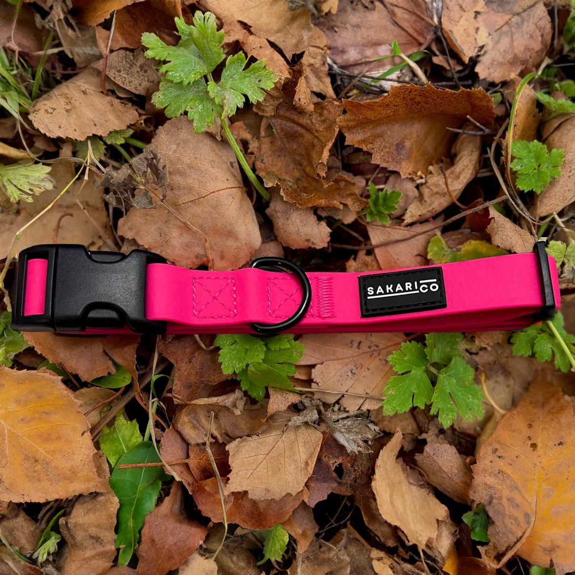 Splash Collar - Pink