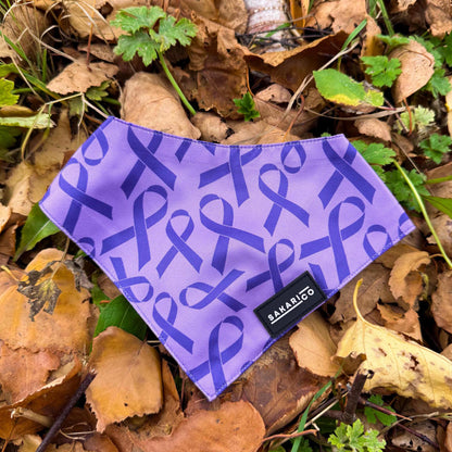 Purple Ribbon Pet Bandanas